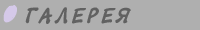 галерея